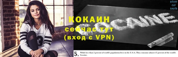 метадон Гусев