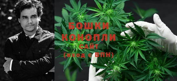 дурь Гусиноозёрск