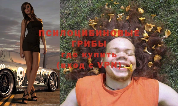 дурь Гусиноозёрск
