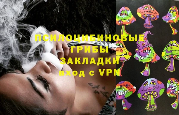 дурь Гусиноозёрск