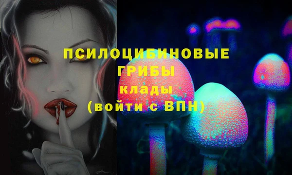 СК Гусь-Хрустальный
