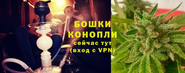 СК Гусь-Хрустальный