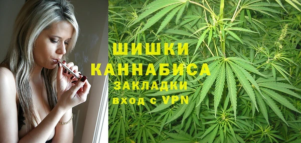 метадон Гусев