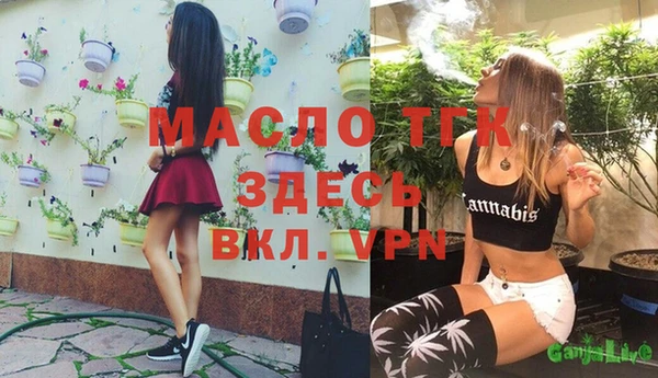 дурь Гусиноозёрск